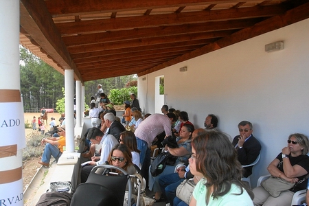 PUBLICO (F.CASTANHO)