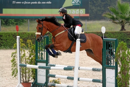 CONCURSO HIPICO CSN-A E TAÇA DA JUVENTUDE -COIMBRA 2007