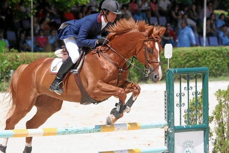 JORGE OLIVEIRA E CARMO