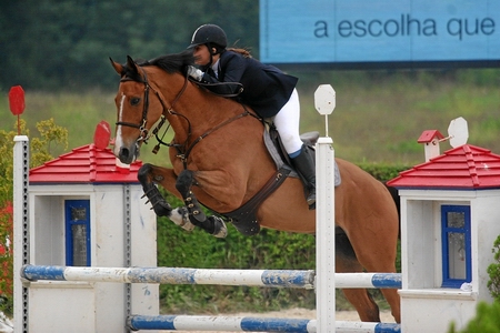 CONCURSO HIPICO CSN-A E TAÇA DA JUVENTUDE -COIMBRA 2007