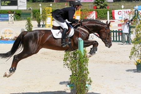 GUILHERME D'OREY