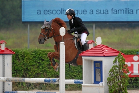 MANUEL VIEIRA MONTEIRO