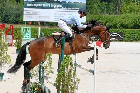 LUIS FERNANDES
