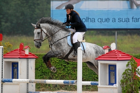 TERESA SOARES SANTOS