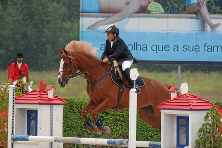 JOÃO MARIO RANITO