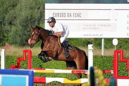 JOÃO AZEVEDO E SILVA