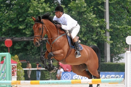 MARCO FARIA MELLO
