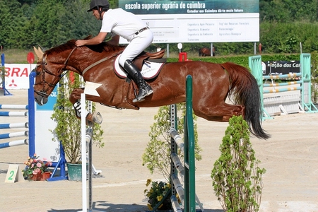PEDRO ESCUDEIRO