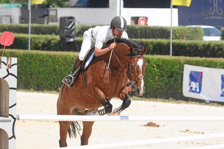 FAUSTO MOURA FERNANDES