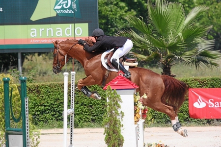 RICARDO GIL SANTOS