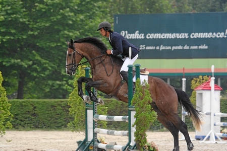 ANTONIO PORTELA CARNEIRO