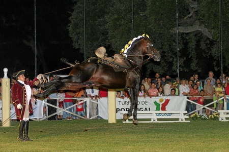 06-09-07 - ESPECTACULO / SHOW (F. CASTANHO)