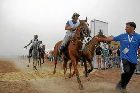 08-09-07 - PROVA  /  RACE  ( F.CASTANHO