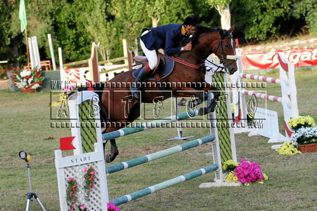 B SILVEIRA