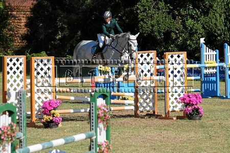 DIANA POLIGNAC DE BARROS