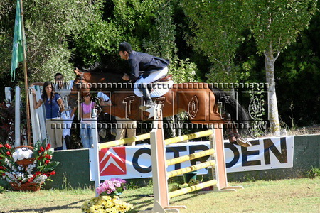 JOÃO OLIVEIRA
