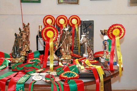 ENTREGA DE PREMIOS(ANTONIO SANTOS)