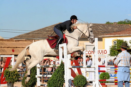 03-11-07 - SABADO  CONC. SAL. OBST. PROVA 2 (1.10M)  (FERNANDO CASTANHO)
