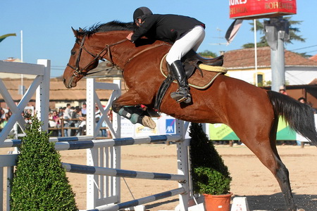 04-11-07 - DOMINGO  CONC. SAL. OBST. PROVA 5 (1.10M)  (FERNANDO CASTANHO)
