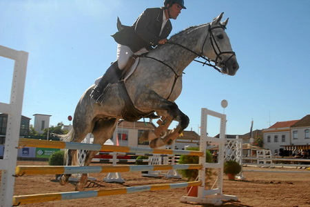 04-11-07 - DOMINGO  CONC. SAL. OBST. PROVA 4 (1.00M)  (FERNANDO CASTANHO)