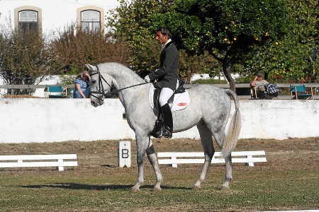07-11-07-SABADO  CONCURSO DE DRESSAGE NACIONAL P2 E2 M2  (FERNANDO CASTANHO)