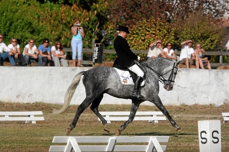 08-11-07 - QUINTA FEIRA  CONCURSO DE DRESSAGE NACIONAL PROVA C3 E S. JORGE   ( FERNANDO CAST