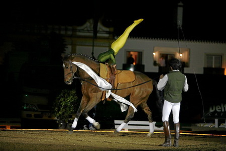 10-11-07 - SABADO ESPECTACULO EQUESTRE DO CENTRO EQUESTRE DA LEZIRIA GRANDE (FERNANDO CASTAN