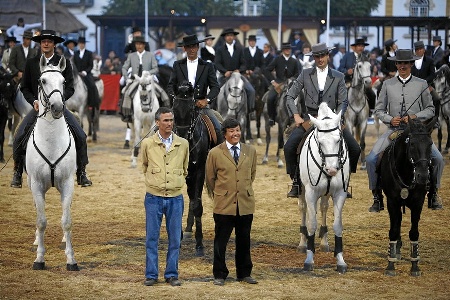 11-11-07- DOMINGOHOMENAGEM EQUITADORES ACT. DIV. CAVALO LUSITANO E ARTE EQUESTRE PORT(FERNAN