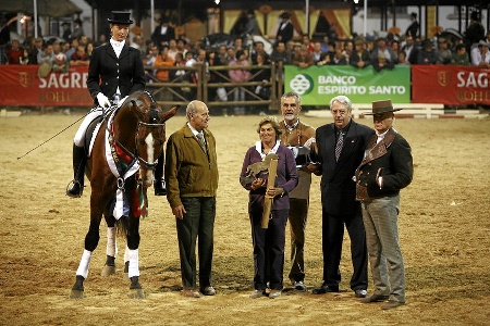 11-11-07- DOMINGO  DIST. PRENIOS FEIRA NAC.E INT. DO CAVALO LUSITANO E CAVALOS DE RAÇA (FERN
