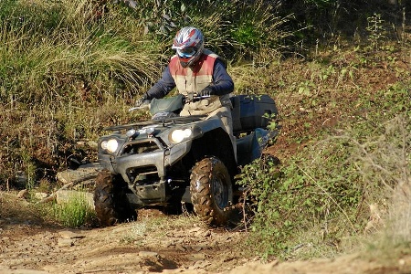 QUADS (FERNANDO BATISTA)