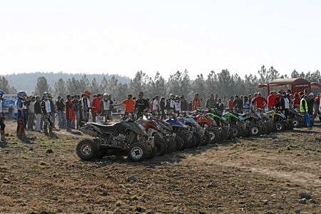 QUADS Q1 (XBIFF)