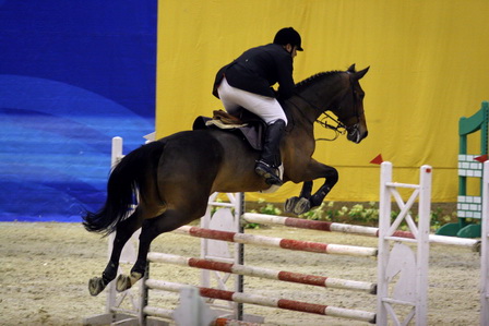 SERGIO GUDINO