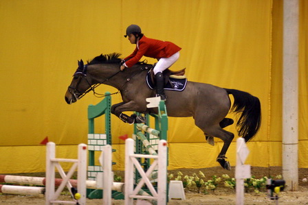 SEBASTIAO FERREIRA PINTO