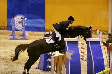 RUI VIEGAS