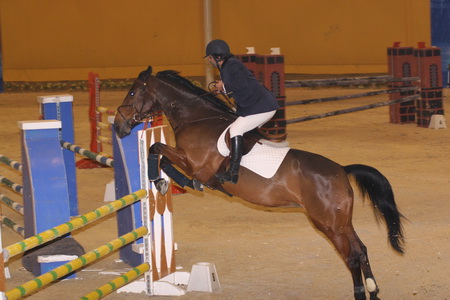 CIRCUITO HÍPÍCO CNEMA 2007/2008