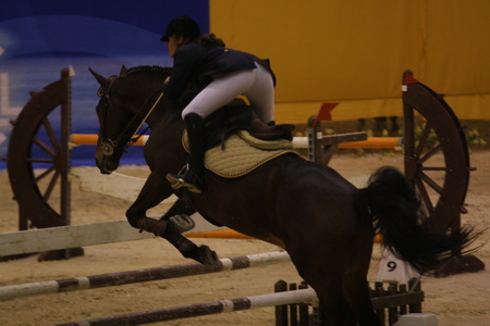 CATARINA REBELO