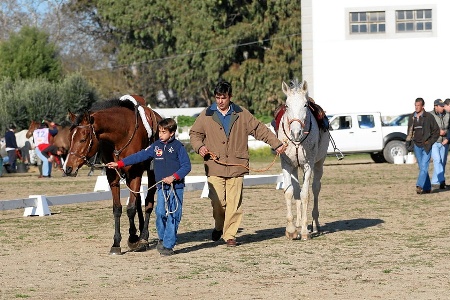 ZONA DE CONTROL VETERINARIO