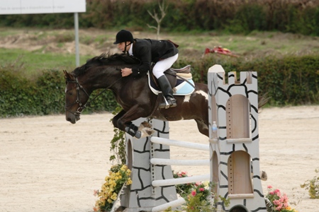 SABADO - CAVALOS NOVOS 5 ANOS (F.CASTANHO)
