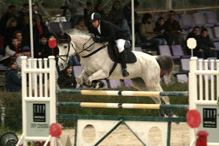SABADO 1.20M (F.CASTANHO)