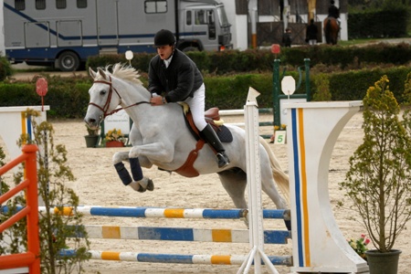DOMINGO - OPEN 80 Cm (F.CASTANHO)