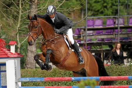 DOMINGO - CAVALOS NOVOS 5 ANOS (F.CASTANHO)