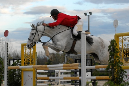 DOMINGO - 1.20 M (F.CASTANHO)