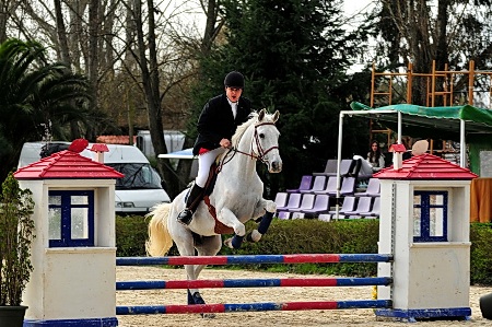 SABADO - OPEN 80 Cm (ALFREDO MARGARIDO)
