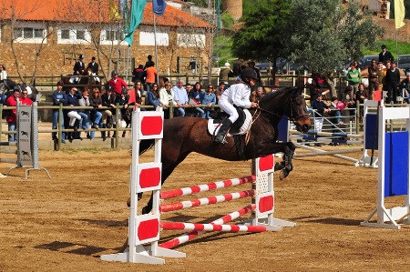 80 cm (ALFREDO MARGARIDO)
