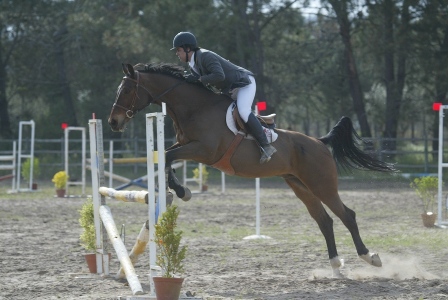 1.10m (FERNANDO CASTANHO)