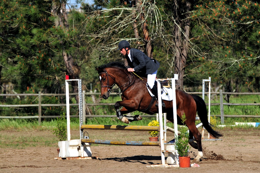 80 cm OPEN (ALFREDO MARGARIDO)