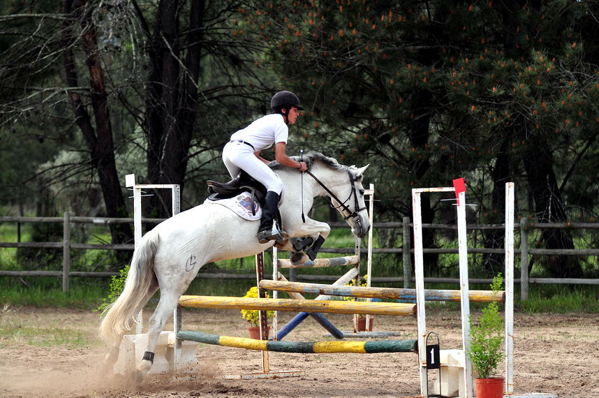 1.00m (ALFREDO MARGARIDO)