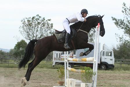 1.20m (RICARDO FONTES)