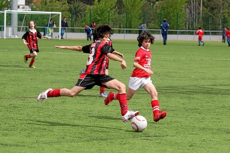JOGO  (F.CASTANHO)