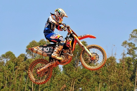 MX 2 (ALFREDO MARGARIDO)